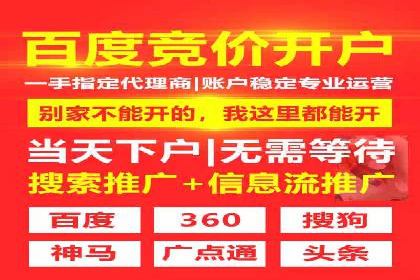 百度SEO推广公司案例分享：行业佼佼者经验